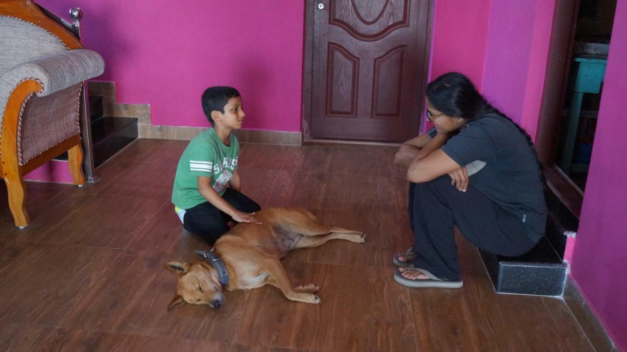Grace Inn Munnar Homestay Kültér fotó